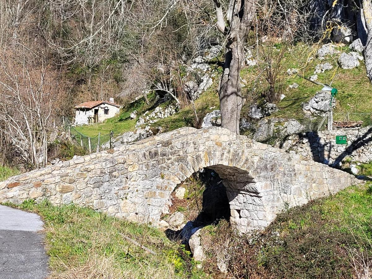 Ribeles Luxury Flat Arenas De Cabrales Exterior foto