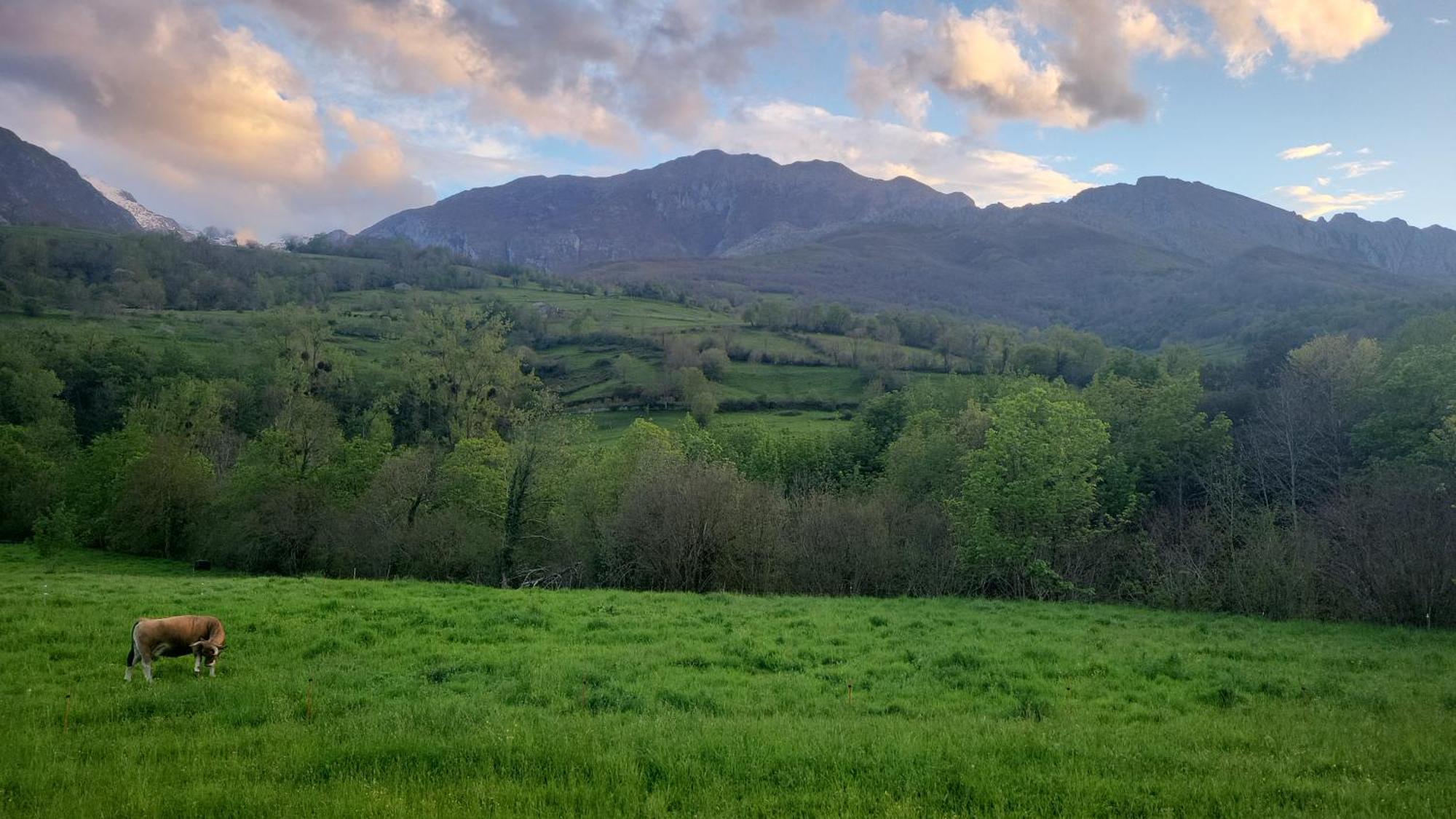 Ribeles Luxury Flat Arenas De Cabrales Exterior foto